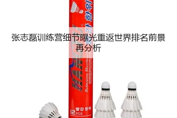 张志磊训练营细节曝光重返世界排名前景再分析